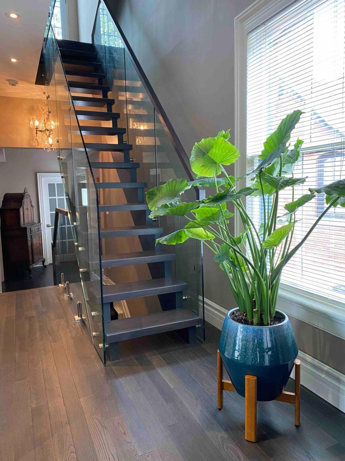 Hotel Downtown Luxury Victorian Retreat à Toronto Extérieur photo